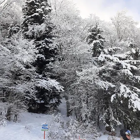 Le Duplex De Dana, En Vercors, Alpes Du Nord, Classement 3 Etoiles Par Atout France Appartement